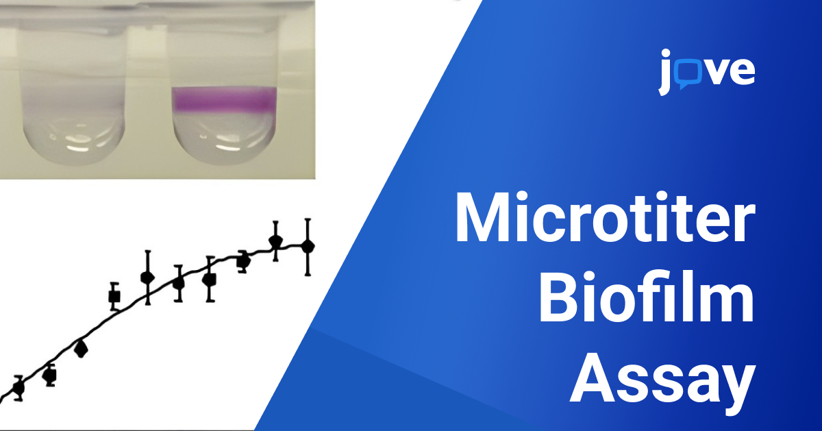 Understand Microtiter Dish Biofilm Assay The ultimate Guide